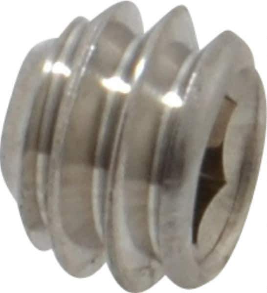 Value Collection - 1/4-20 UNC, 3/16" OAL, Cup Point Set Screw - Grade 18-8 Stainless Steel, 1/8" Key - Apex Tool & Supply