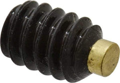 Made in USA - #10-24 UNC, 1/4" Length of Thread, Soft Tip Point Set Screw - Grade 8 Alloy Steel - Apex Tool & Supply