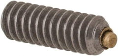 Made in USA - #2-56 UNC, 1/4" Length of Thread, Soft Tip Point Set Screw - Grade 18-8 Stainless Steel - Apex Tool & Supply