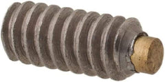 Made in USA - #4-40 UNC, 1/4" Length of Thread, Soft Tip Point Set Screw - Grade 18-8 Stainless Steel - Apex Tool & Supply
