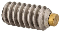Made in USA - #10-24 UNC, 3/8" Length of Thread, Soft Tip Point Set Screw - Grade 18-8 Stainless Steel - Apex Tool & Supply