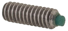 Made in USA - #2-56 UNC, 1/4" Length of Thread, Soft Tip Point Set Screw - Grade 18-8 Stainless Steel - Apex Tool & Supply