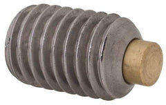 Made in USA - 1/2-13 UNC, 3/4" Length of Thread, Soft Tip Point Set Screw - Grade 18-8 Stainless Steel - Apex Tool & Supply