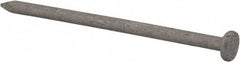 Value Collection - 10D, 9 Gauge, 3" OAL Common Nails - Ring Shank, Grade 2 Steel, Galvanized Finish - Apex Tool & Supply