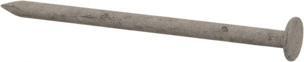 Value Collection - 6D, 12 Gauge, 2" OAL Common Nails - Ring Shank, Grade 2 Steel, Galvanized Finish - Apex Tool & Supply