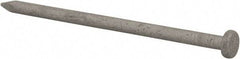 Value Collection - 10D, 9 Gauge, 3" OAL Common Nails - Ring Shank, Grade 2 Steel, Galvanized Finish - Apex Tool & Supply