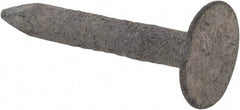 Value Collection - 11 Gauge, 7/8" OAL Roofing Nails - Ring Shank, Grade 2 Steel, Galvanized Finish - Apex Tool & Supply