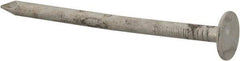 Value Collection - 11 Gauge, 2" OAL Roofing Nails - Ring Shank, Grade 2 Steel, Galvanized Finish - Apex Tool & Supply