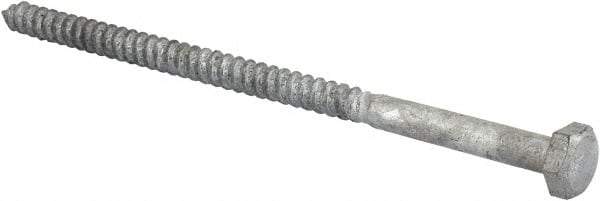 Value Collection - 1/4" Screw, 5" Length Under Head, Steel, Hex Head Lag Screw - Hot Dipped Galvanized, AISI 1006, ASME B18.2.1 Fastner, Grade 1006-1022 - Apex Tool & Supply