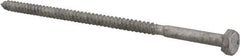 Value Collection - 1/4" Screw, 6" Length Under Head, Steel, Hex Head Lag Screw - Hot Dipped Galvanized, AISI 1006, ASME B18.2.1 Fastner, Grade 1006-1022 - Apex Tool & Supply