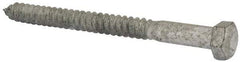 Value Collection - 1/2" Screw, 6" Length Under Head, Steel, Hex Head Lag Screw - Hot Dipped Galvanized, AISI 1006, ASME B18.2.1 Fastner, Grade 1006-1022 - Apex Tool & Supply