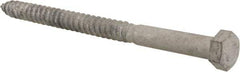 Value Collection - 1/2" Screw, 7" Length Under Head, Steel, Hex Head Lag Screw - Hot Dipped Galvanized, AISI 1006, ASME B18.2.1 Fastner, Grade 1006-1022 - Apex Tool & Supply