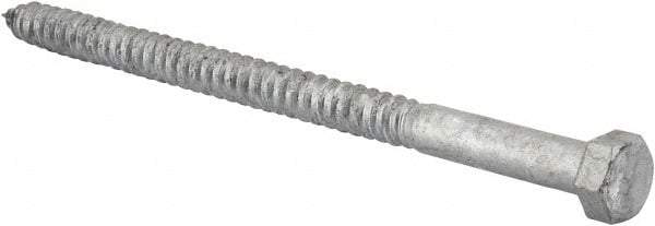 Value Collection - 1/2" Screw, 8" Length Under Head, Steel, Hex Head Lag Screw - Hot Dipped Galvanized, AISI 1006, ASME B18.2.1 Fastner, Grade 1006-1022 - Apex Tool & Supply
