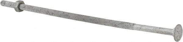 Value Collection - 1/4-20 UNC 8" Length Under Head, Standard Square Neck, Carriage Bolt - 1006-1050 Steel, Galvanized Zinc-Plated Finish - Apex Tool & Supply