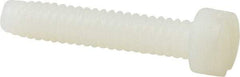 Made in USA - #10-24 UNC, 1" Length Under Head Slotted Drive Machine Screw - Fillister Head, Grade 6/6 Nylon, Uncoated, Without Washer - Apex Tool & Supply