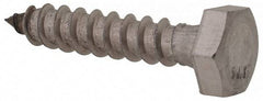 Value Collection - 1/4" Screw, 1-1/4" Length Under Head, Stainless Steel, Hex Head Lag Screw - Grade 18-8, Uncoated - Apex Tool & Supply