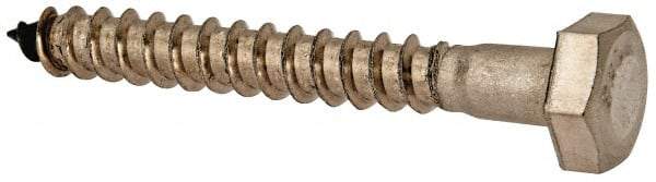 Value Collection - 1/4" Screw, 2" Length Under Head, Stainless Steel, Hex Head Lag Screw - Grade 18-8, Uncoated - Apex Tool & Supply