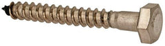 Value Collection - 1/4" Screw, 2" Length Under Head, Stainless Steel, Hex Head Lag Screw - Grade 18-8, Uncoated - Apex Tool & Supply