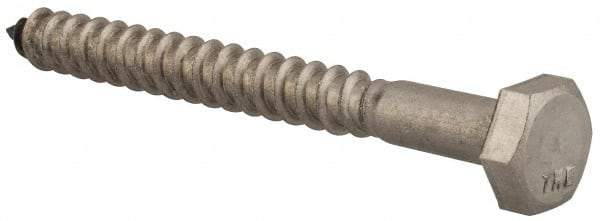Value Collection - 1/4" Screw, 2-1/2" Length Under Head, Stainless Steel, Hex Head Lag Screw - Grade 18-8, Uncoated - Apex Tool & Supply