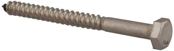 Value Collection - 1/4" Screw, 3" Length Under Head, Stainless Steel, Hex Head Lag Screw - Grade 18-8, Uncoated - Apex Tool & Supply