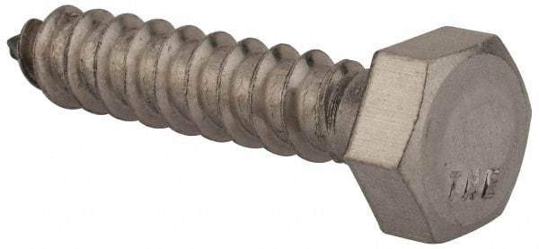 Value Collection - 5/16" Screw, 1-1/2" Length Under Head, Stainless Steel, Hex Head Lag Screw - Grade 18-8, Uncoated - Apex Tool & Supply