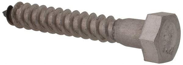 Value Collection - 5/16" Screw, 2" Length Under Head, Stainless Steel, Hex Head Lag Screw - Grade 18-8, Uncoated - Apex Tool & Supply