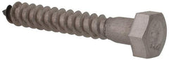 Value Collection - 5/16" Screw, 2" Length Under Head, Stainless Steel, Hex Head Lag Screw - Grade 18-8, Uncoated - Apex Tool & Supply