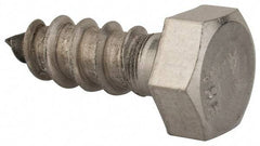 Value Collection - 3/8" Screw, 1" Length Under Head, Stainless Steel, Hex Head Lag Screw - Grade 18-8, Uncoated - Apex Tool & Supply