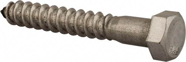 Value Collection - 3/8" Screw, 2-1/2" Length Under Head, Stainless Steel, Hex Head Lag Screw - Grade 18-8, Uncoated - Apex Tool & Supply