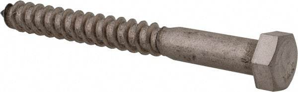 Value Collection - 3/8" Screw, 3-1/2" Length Under Head, Stainless Steel, Hex Head Lag Screw - Grade 18-8, Uncoated - Apex Tool & Supply