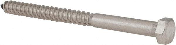 Value Collection - 3/8" Screw, 5" Length Under Head, Stainless Steel, Hex Head Lag Screw - Grade 18-8, Uncoated - Apex Tool & Supply
