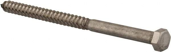 Value Collection - 3/8" Screw, 6" Length Under Head, Stainless Steel, Hex Head Lag Screw - Grade 18-8, Uncoated - Apex Tool & Supply