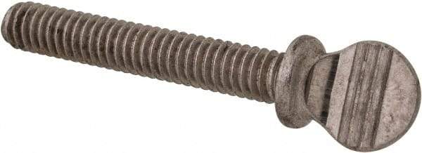 Value Collection - #8-32 Oval Shoulder Grade 18-8 Stainless Steel Thumb Screw - 1" OAL, 0.38" Head Height - Apex Tool & Supply