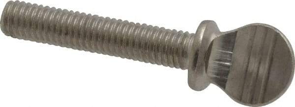 Value Collection - #10-32 Oval Shoulder Grade 18-8 Stainless Steel Thumb Screw - 1" OAL, 0.48" Head Height - Apex Tool & Supply