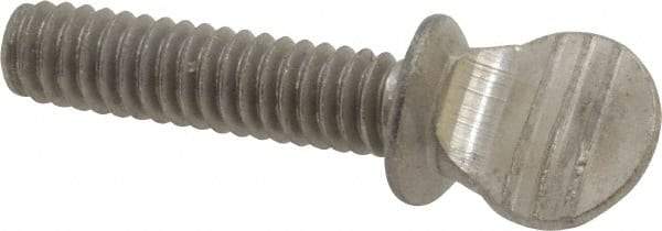 Value Collection - 1/4-20 Oval Shoulder Grade 18-8 Stainless Steel Thumb Screw - 1" OAL, 0.64" Head Height - Apex Tool & Supply