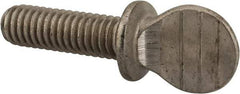 Value Collection - 5/16-18 Oval Shoulder Grade 18-8 Stainless Steel Thumb Screw - 1" OAL, 0.78" Head Height - Apex Tool & Supply
