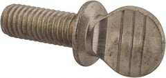 Value Collection - 3/8-16 Oval Shoulder Grade 18-8 Stainless Steel Thumb Screw - 1" OAL, 0.95" Head Height - Apex Tool & Supply