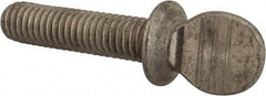 Value Collection - 3/8-16 Oval Shoulder Grade 18-8 Stainless Steel Thumb Screw - 1-1/2" OAL, 0.95" Head Height - Apex Tool & Supply
