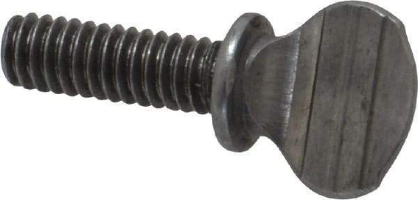 Value Collection - #8-32 Oval Shoulder Grade 2 Steel Thumb Screw - 1/2" OAL, 0.39" Head Height, Uncoated - Apex Tool & Supply