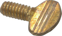Value Collection - 1/4-20 Oval Shoulderless Brass Thumb Screw - 1/2" OAL, 0.64" Head Height - Apex Tool & Supply