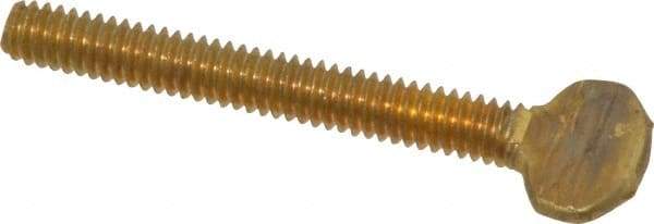 Value Collection - 1/4-20 Oval Shoulderless Brass Thumb Screw - 2" OAL, 0.64" Head Height - Apex Tool & Supply