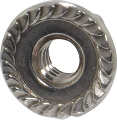 Value Collection - #10-24, 1/2" Flange Diam, Serrated Flange Nut - Grade 18-8 Stainless Steel, 7/32" Flange Height - Apex Tool & Supply