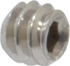 Value Collection - #6-32 UNC, 1/8" OAL, Cup Point Set Screw - Grade 316 Stainless Steel, 1/16" Key - Apex Tool & Supply