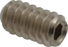 Value Collection - #6-32 UNC, 1/4" OAL, Cup Point Set Screw - Grade 316 Stainless Steel, 1/16" Key - Apex Tool & Supply