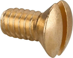 Value Collection - 1/4-20 UNC, 1/2" OAL Slotted Drive Machine Screw - Oval Head, Brass, Uncoated, Without Washer - Apex Tool & Supply
