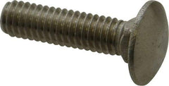 Value Collection - 5/16-18 UNC 1-1/4" Length Under Head, Standard Square Neck, Carriage Bolt - 18-8 Stainless Steel, Uncoated - Apex Tool & Supply