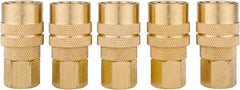 Value Collection - 5 Piece 1/4" Body 1/4 NPT 145 psi Brass Industrial Pneumatic Coupling Plug Set - Apex Tool & Supply