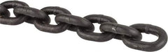 Peerless Chain - 5/16" Welded Alloy Chain - 4,300 Lb Capacity, Grade 80, Alloy Steel, Black Finish - Apex Tool & Supply