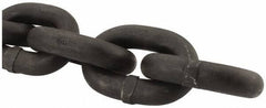 Peerless Chain - 47400 Lbs. Load Capacity, Alloy Steel Chain - 8 Grade, 2.9 Inch Inside Long x 1.419 Inch Inside Wide - Apex Tool & Supply
