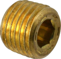 Unbrako - 1/4-18, 13/32" OAL, Brass Socket Pressure Plug - 7/8" Taper per Foot, 1/4" Hex Key - Apex Tool & Supply